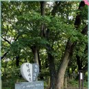 함양 상림공원 및 상림공원 연꽃 이미지