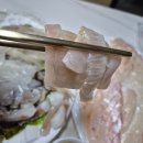 아트센터대로168번길 | 송도 회 맛집 송도달빛횟집 현지인 맛집의 근본 방문포 후기(광어, 오징어)
