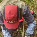 내린천약초 이미지