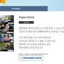 엠에스지 이미지