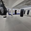 위너복싱 이미지