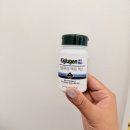 고체 키위 리포좀 글루타치온 키글루겐 엑트 맥스 후기