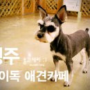 헤이독청주 이미지