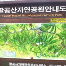 대구의 진산 팔공산(1,192.8m)을 다녀왔어요. 이미지