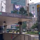 약국산책 이미지