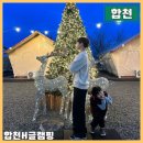경남 합천 글램핑 대구근교 황매산 무한바베큐 합천H글램핑 후기