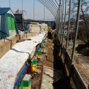 성남농장 이미지