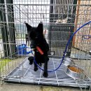 죽림산책로 공중화장실 이미지