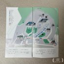 야간개방 밤마실 다녀온 후기 :: 2025 Night Opening...관람 소요시간, 가는 길, 뮤직콘서트, 화장실 정보)