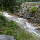 평창송어횟집 이미지