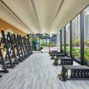 더 스탠다드 짐 이미지