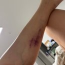 원도안로-28 | 뚠뚜니 임산부 28주 일상(중기에서 후기라니 벌써)