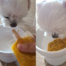 나미테이블 이미지