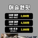 머슬원핏배곧 이미지