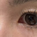 으뜸글라스 위드렌즈 이미지