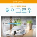 비에스헤어 이미지