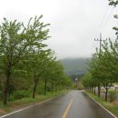 샘재길 이미지