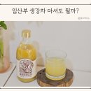 호랑이 | 임산부 생강차 마셔도 될까? 효능 총정리, 호랑이 생강청 마신 후기