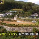 무릉도원면-17 네이버블로그