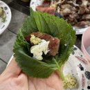 미르의 뜰 이미지