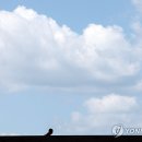 구름 이미지