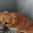 태안정육마트 이미지