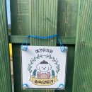 숲속댕토리애견유치원 이미지
