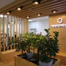 세종창업키움센터 이미지