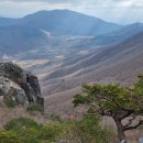 내일1리 이미지