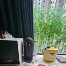 노블5 산후조리원 | 노블5산후조리원 슬기로운 조리원생활 2탄