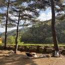 동계2리 | 2025 에이스 백패킹데이 후기