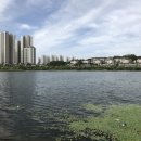 청담추어탕 - 원주시 만대공원길 35 | 청담추어탕