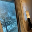 하늘빛농원 | 춘천 하늘빛관광농원 비비안 객실 2박 3일 후기(24.12.23-12.25)