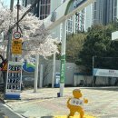 장량주유소 네이버블로그