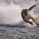 대지 행정사 이미지