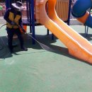 녹야유치원 이미지