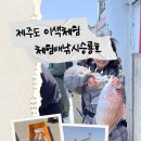 일출봉낚시 | 제주도 이색 체험 ㅣ 제주도 배낚시 추천 애월 승룡호 참돔 낚시 후기 (5시간 코스)