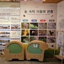 정부대전청사 이미지