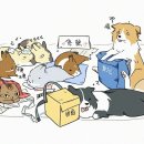 토끼공장 이미지