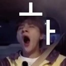 [워홀] 🇨🇦벌써 밴쿠버 일주일ㅣ공원 마스터를 꿈꾸다ㅣwork BC, VPL 에서 프린트하고 레쥬메 돌리는...