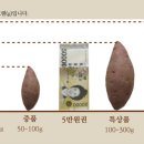 주식회사 샘터