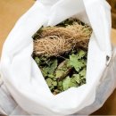 홍성균한의원 이미지