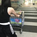 하센호텔 | 존* 긴 꿈을 꾼거같긔