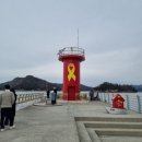 태마당공원 | [내돈내산] 진도 여행 진도개태마파크 &amp; 팽목항 송가인마을 방문 후기