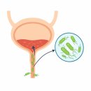 가야하나로약국 이미지