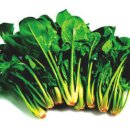 해산한의원 이미지