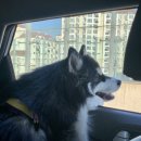 양평군실내수영장 이미지