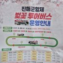 장천회관 | 63회 진해군항제 벚꽃투어버스 탑승 후기/주말셔틀버스 운영안내표.