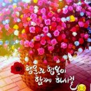 박사보건진료소 이미지