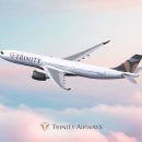 강서관광주식회사 이미지